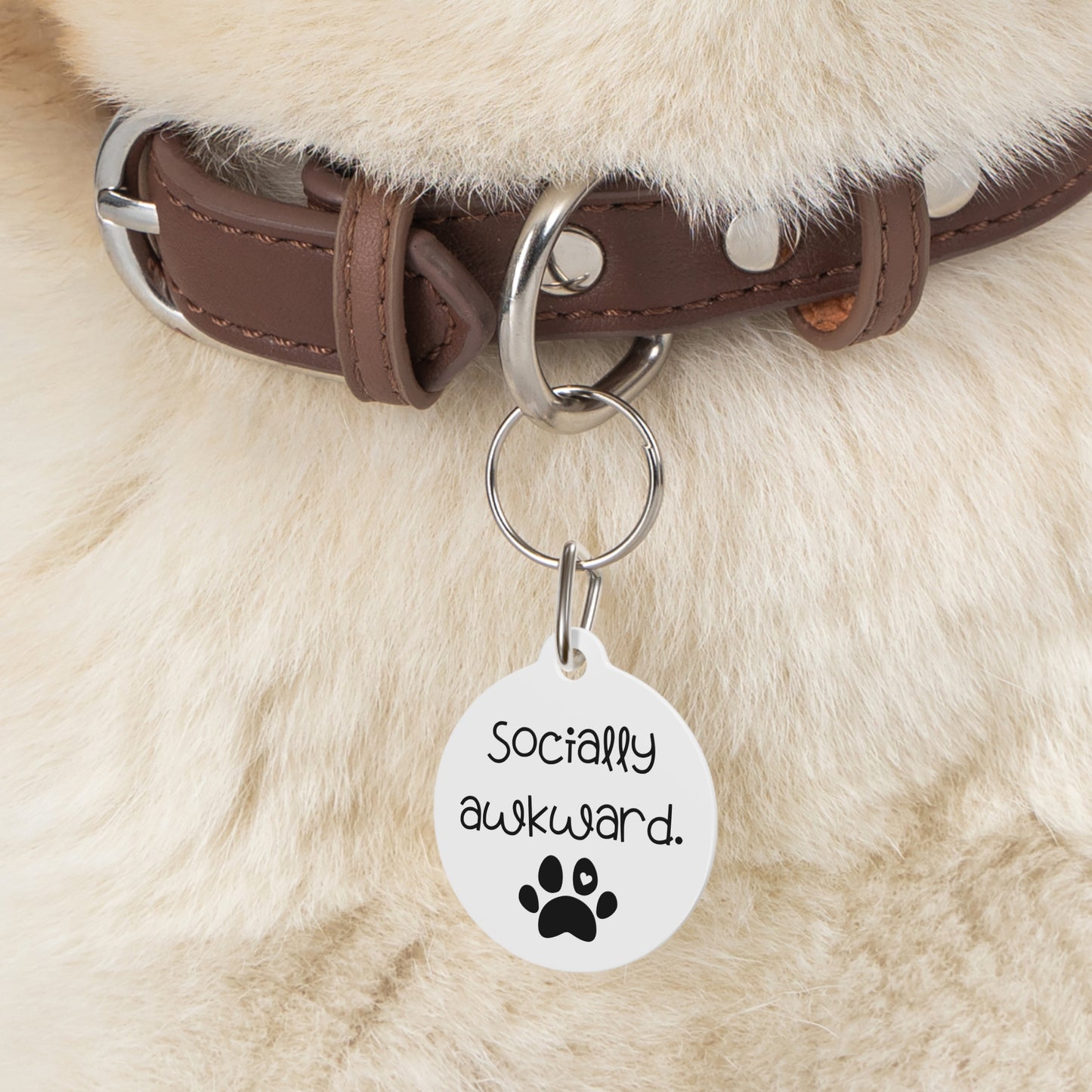 Socially Awkward Funny Dog ID Tag | Cute Pet Tag | Personalized Dog ID Tag