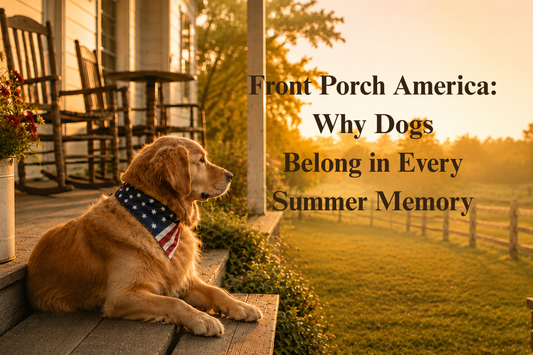Golden Retriever on the front porch of a farmhouse wearing a patriotic bandana with stars and stripes.