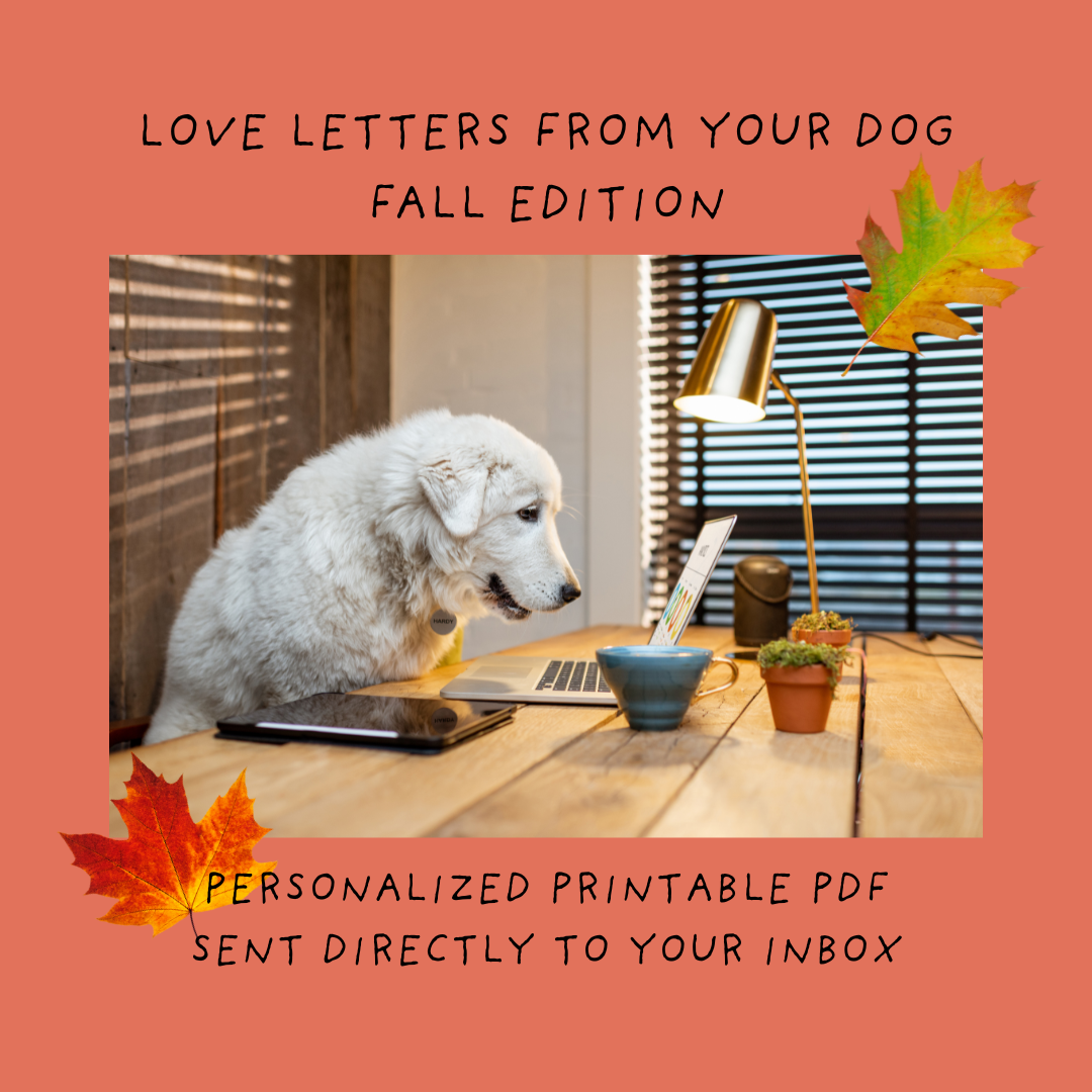 Personalized Love Letters From Your Dog... Fall Edition