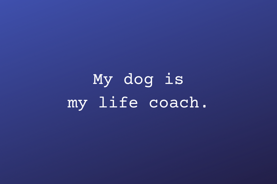 Why Your Dog Is Actually Your Best Life Coach