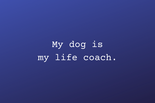 Why Your Dog Is Actually Your Best Life Coach