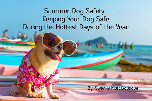Summer Dog Safety: Keeping Your Dog Safe During the Hottest Days of the Year