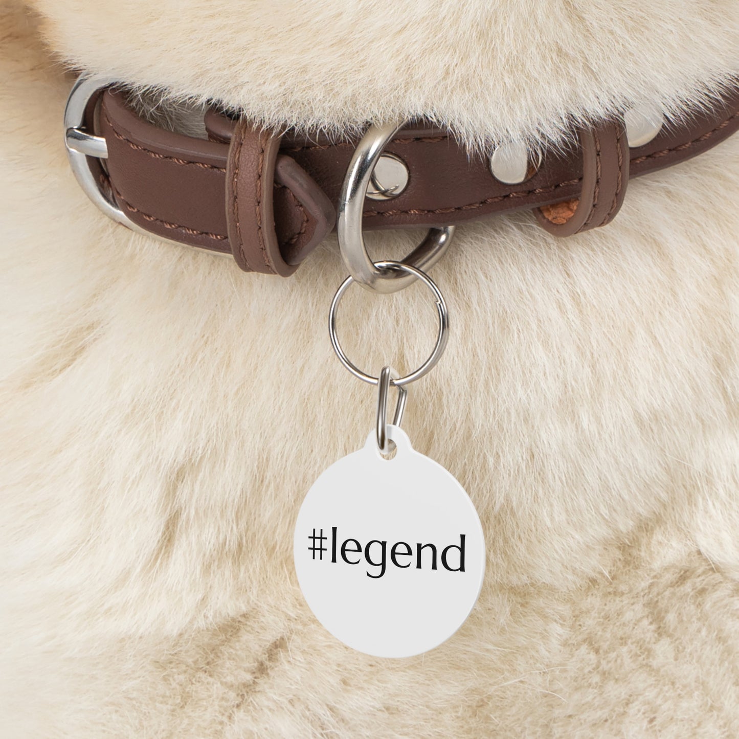 #legend Funny Dog ID Tag | Cute Pet Tag | Personalized Dog ID Tag