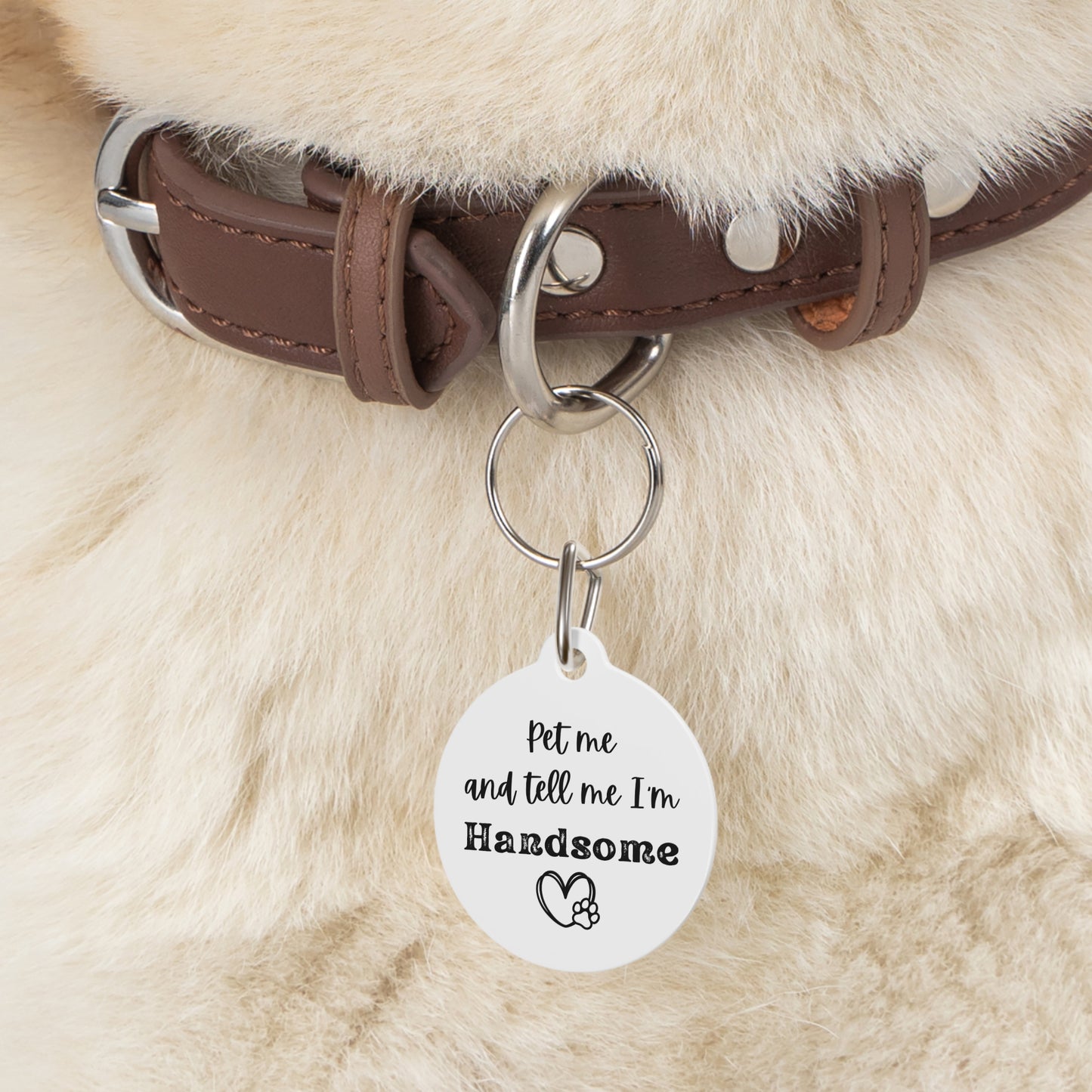 Pet Me and Tell Me I'm Handsome Funny Dog ID Tag | Cute Pet Tag | Personalized Dog ID Tag