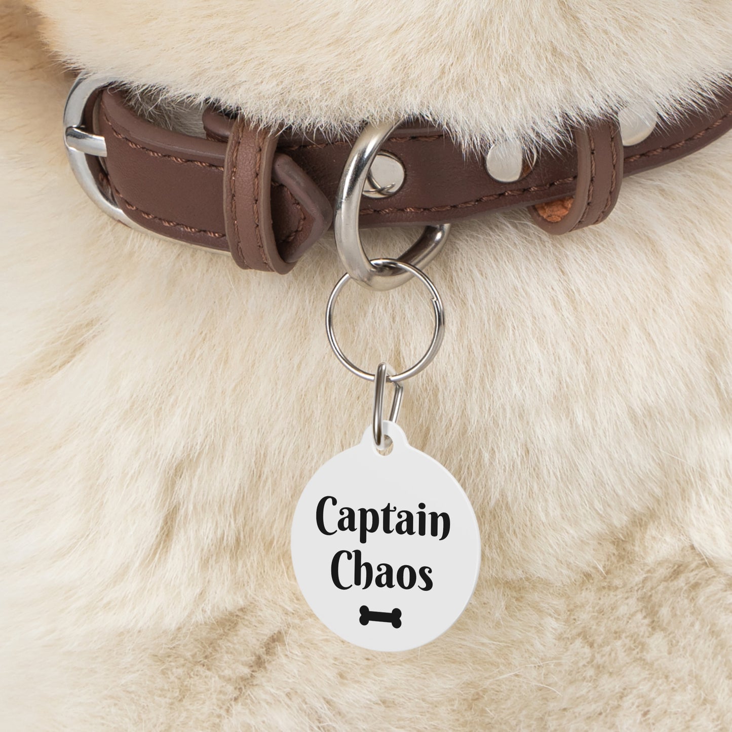 Captain Chaos Funny Dog ID Tag | Cute Pet Tag | Personalized Dog ID Tag
