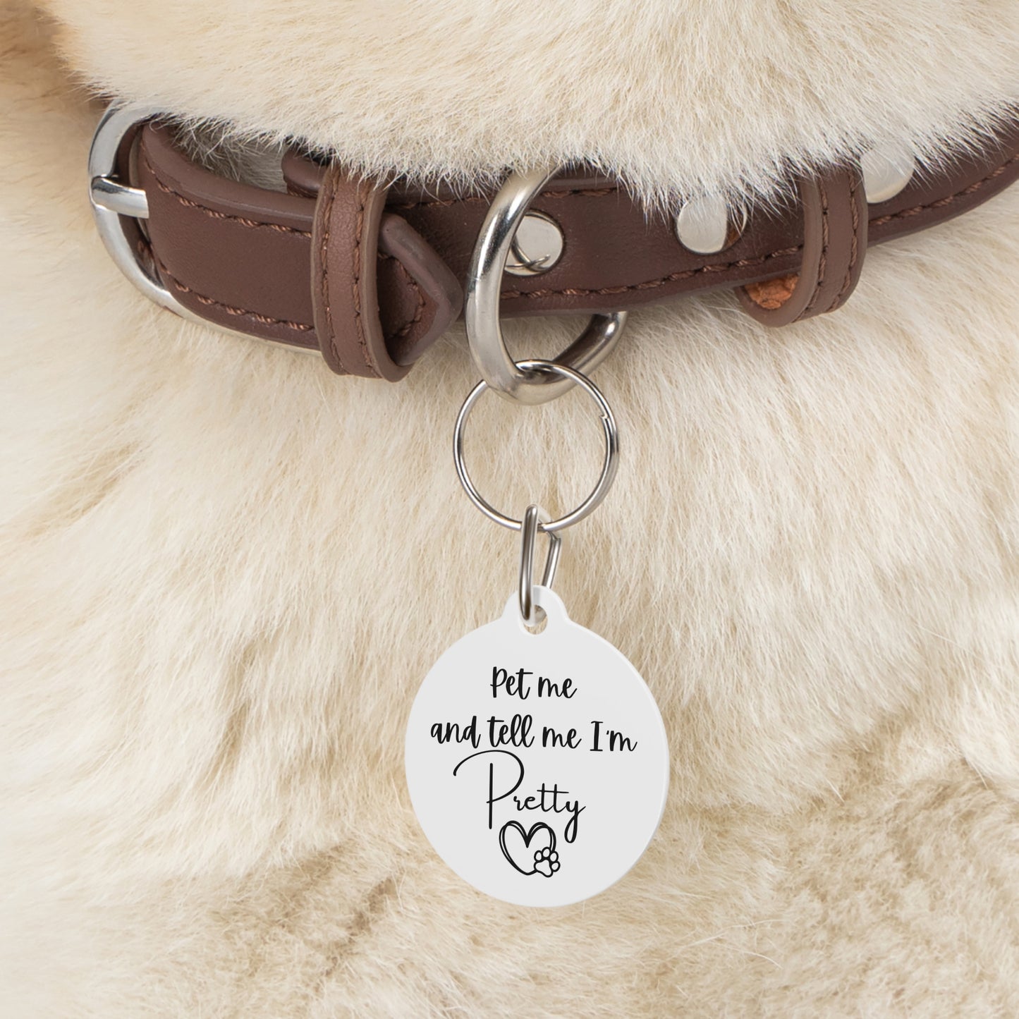 Pet Me and Tell Me I'm Pretty Funny Dog ID Tag | Cute Pet Tag | Personalized Dog ID Tag