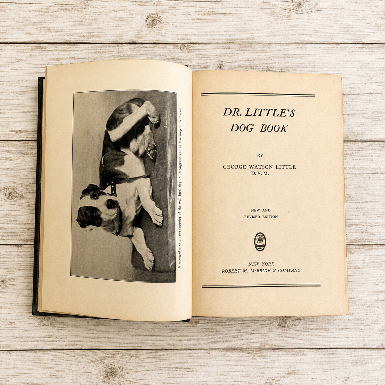 Dr. Little's Dog Book by George Watson Little, DMV 1937