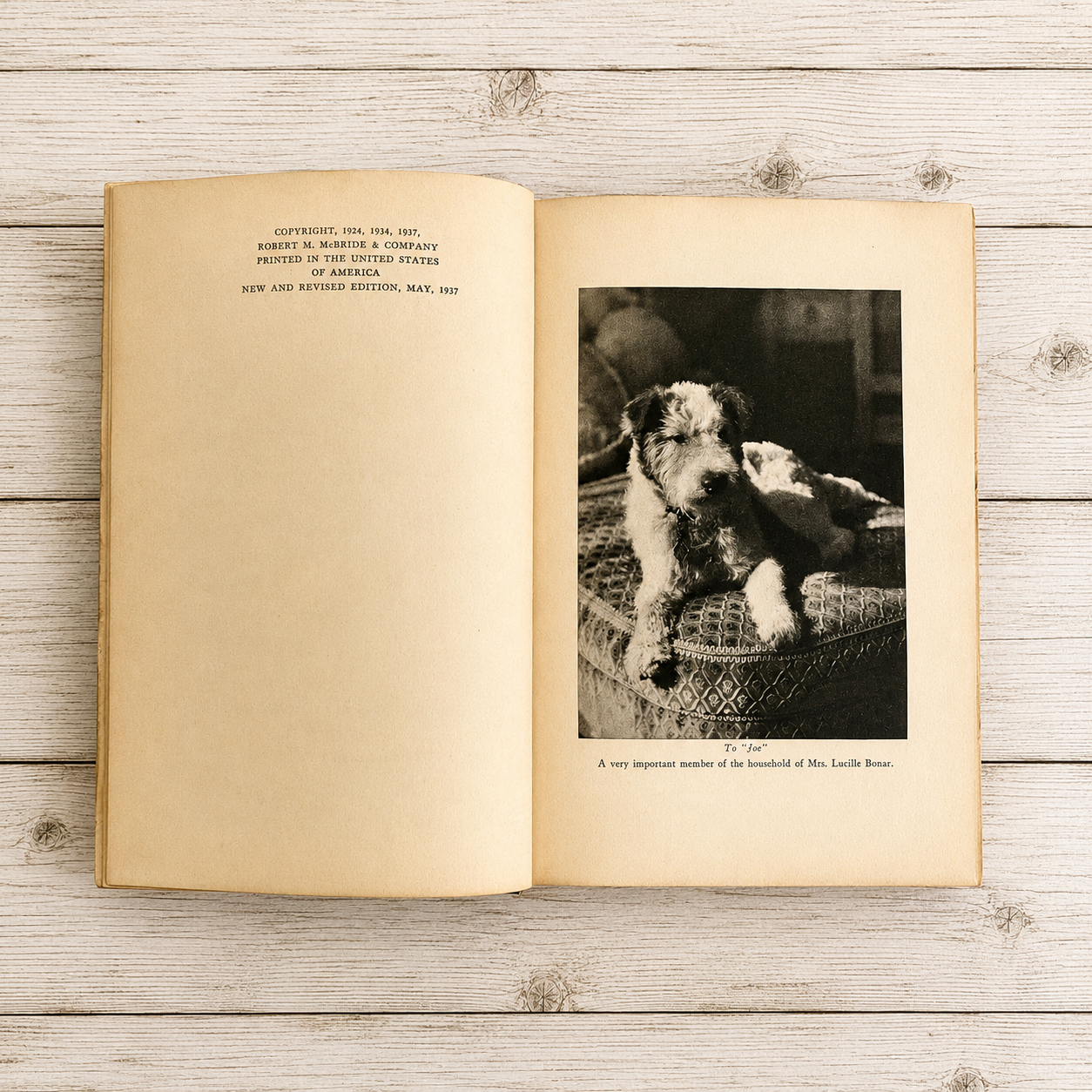 Dr. Little's Dog Book by George Watson Little, DMV 1937