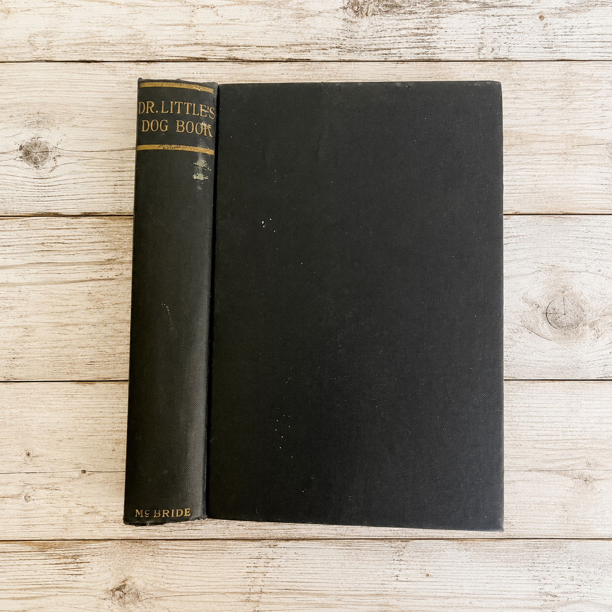 Dr. Little's Dog Book by George Watson Little, DMV 1937